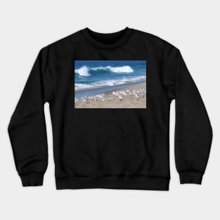 Pacific Ocean and Sanderlings Crewneck Sweatshirt